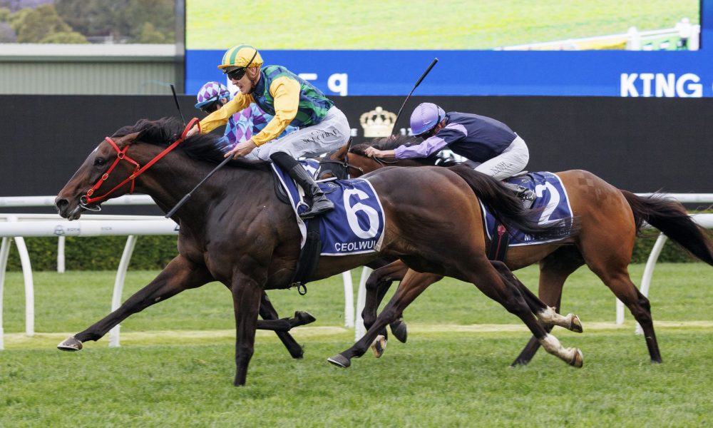 去了攻防两 去了攻防两